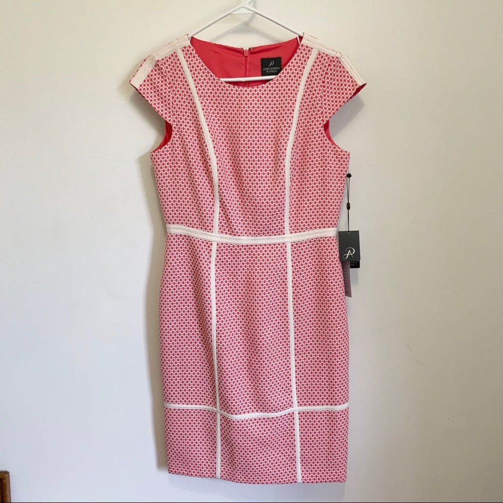 Adrianna Papell Contrast Piping Sheath Dress